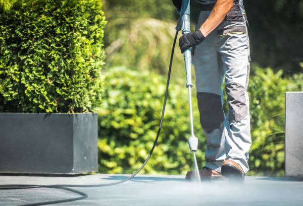 Best Animal Enclosure Cleaning  in Polk City, FL